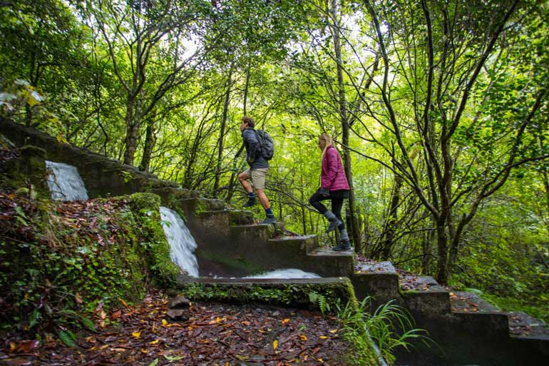 Madeira limita acesso a percursos pedestres e aposta na qualificação do turismo