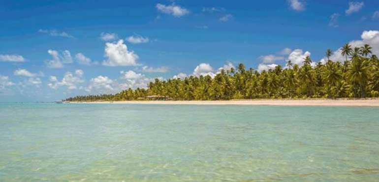 Solférias e Exótico Online anunciam voo charter para verão 2026 no Brasil