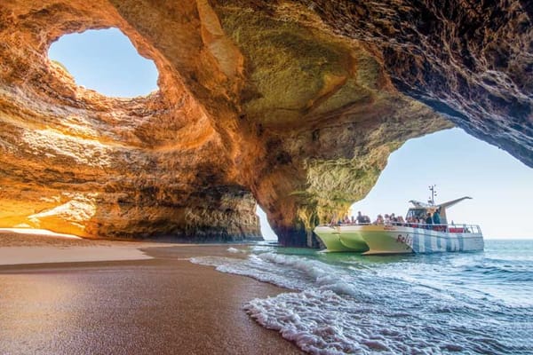 AlgarExperience: 2026 traz novidades