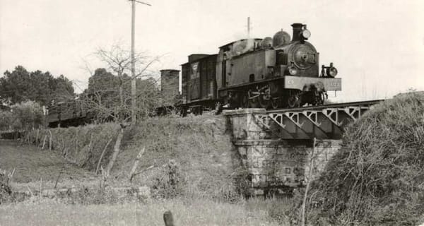 Conferência internacional debate potencial turístico da ferrovia entre o Vouga e o Dão