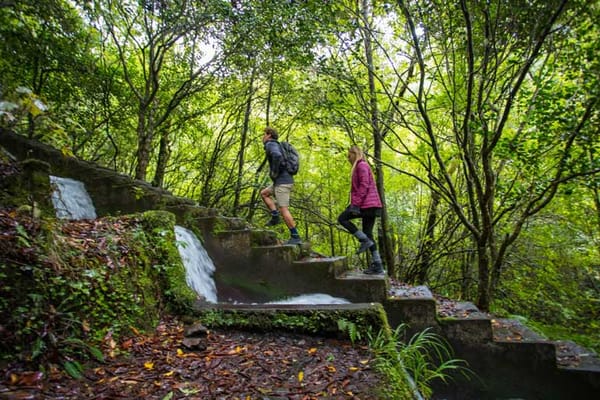 Madeira limita acesso a percursos pedestres e aposta na qualificação do turismo
